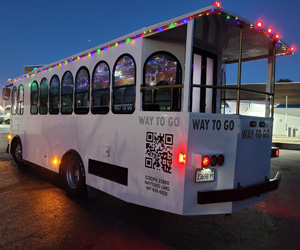 Way to go limousine