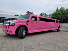 Hummer - Pink Panther