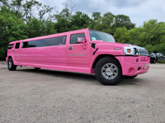 Hummer - Pink Panther