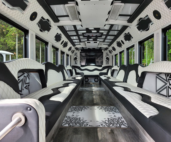 Chicago Party Bus Rental